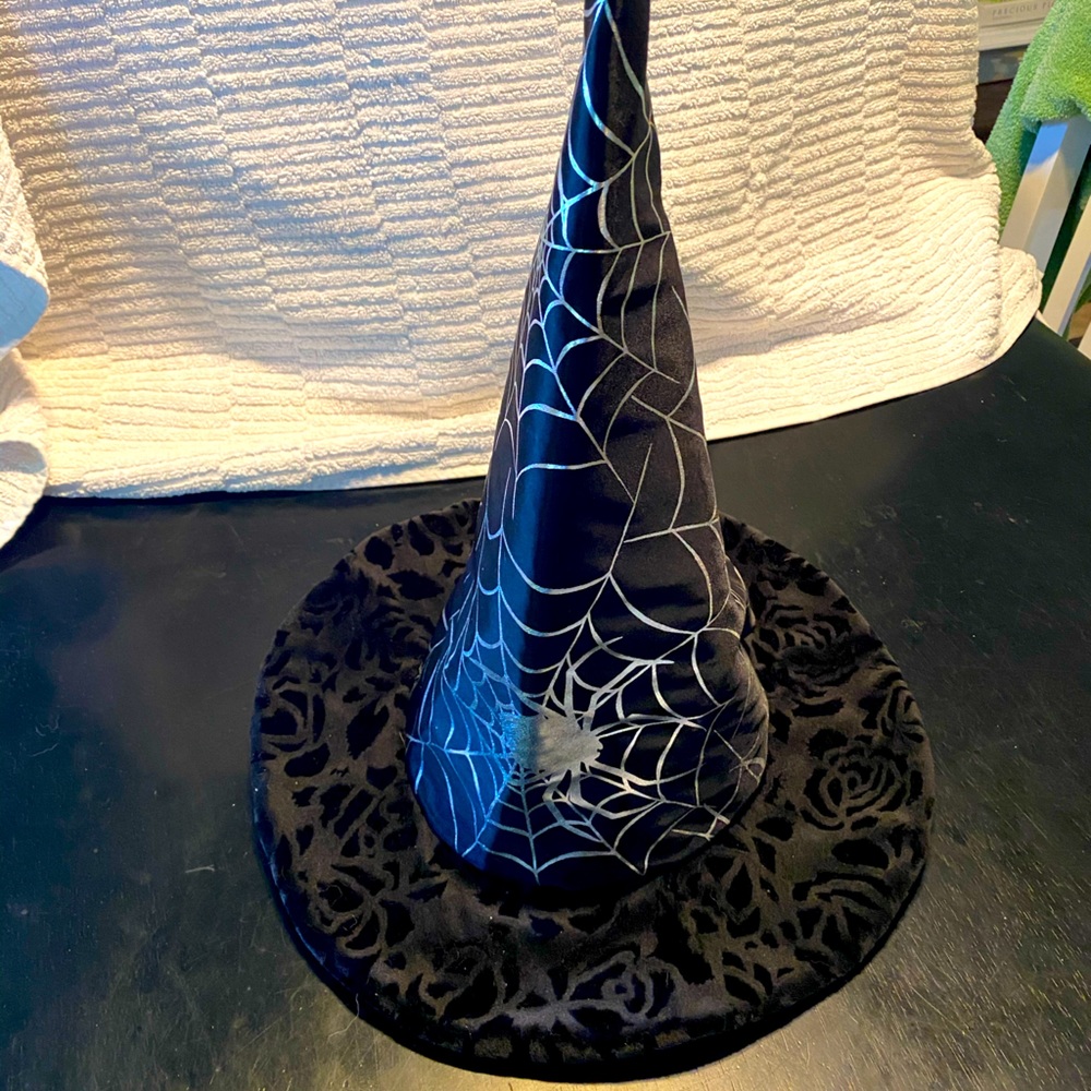 Metallic Spiderweb Witches Hat